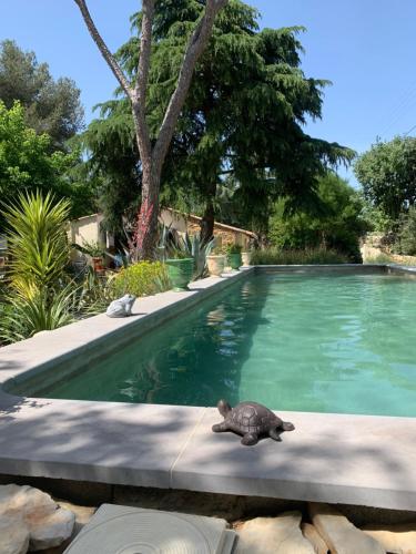 Chambres d'Hôtes Lovely Planette