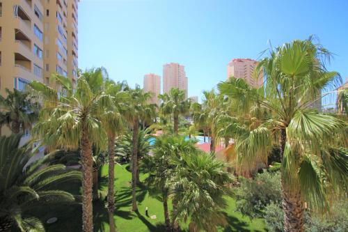 Apartamento en Urb. Natura Playa 2 en Campello-Muchavista C104