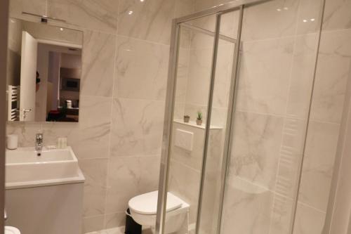 une salle de bain avec une douche, des toilettes et un lavabo dans l'établissement Superbe Appartement au coeur de la vieille ville, à Villefranche-sur-Mer