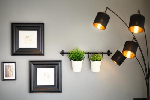 a room with three plants on a wall at Central Home Apartment in Ortisei