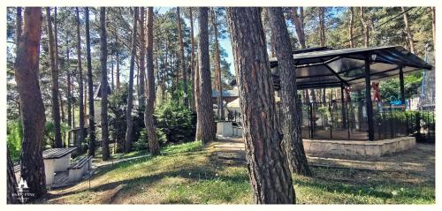 a pavilion in the middle of a forest with trees at Complex Parc Pini Moinesti in Moineşti