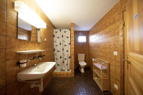 ein Bad mit einem Waschbecken und einem WC in der Unterkunft Ferienhaus Alvaneu für Familien in Alvaneu