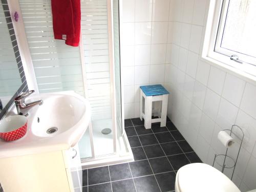 een badkamer met een wastafel, een douche en een toilet bij Chalet 556 op Recreatiepark De Wielen in Sint Maarten