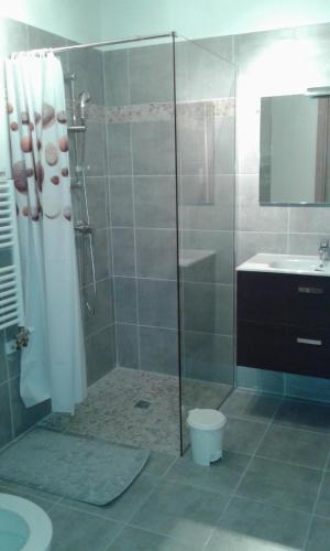 a bathroom with a shower and a toilet and a sink at Bella Vista 2A in Ajaccio