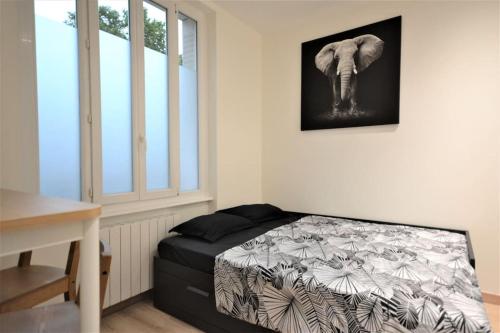 une chambre avec une photo d'éléphant sur le mur dans l'établissement Studio en résidence privée à Villeurbanne, à Villeurbanne