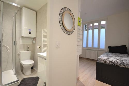 La salle de bains est pourvue d'un lavabo, de toilettes et d'un miroir. dans l'établissement Studio en résidence privée à Villeurbanne, à Villeurbanne