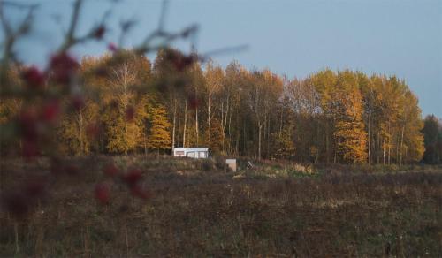 a house in the middle of a field with trees at Rent a tent - Namiot w Praekologicznym gospodarstwie in Pozezdrze