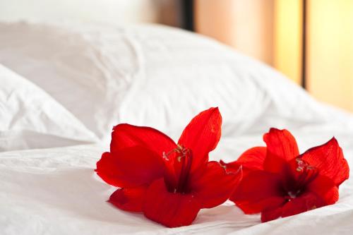 Ein Bett oder Betten in einem Zimmer der Unterkunft Hotel Acadia