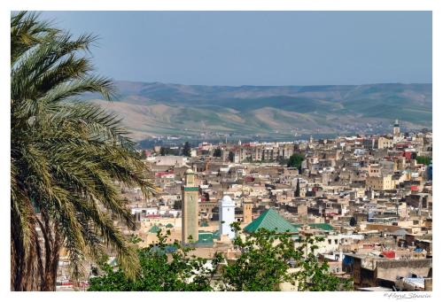 Blick auf eine Stadt mit einer Palme in der Unterkunft Riad Layalina Fes in Fès