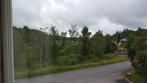 a view from a window of a road with trees at Hällevadsholm in Hällevadsholm