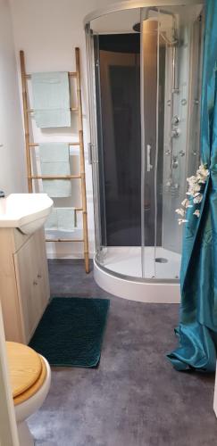 une salle de bain avec une douche, des toilettes et un lavabo dans l'établissement Le Moulin d'Airou au cœur de la Baie du Mont Saint Michel, à Rouffigny