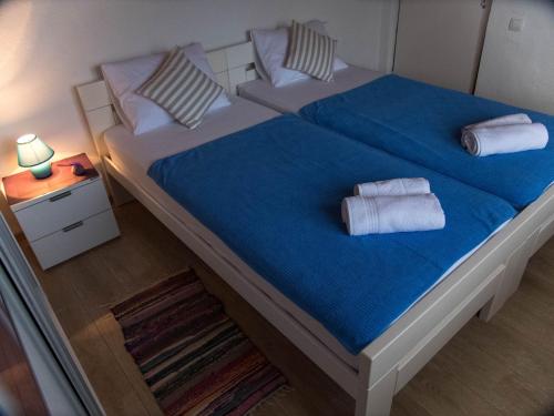 Gallery image of Apartment Village house in Ravno