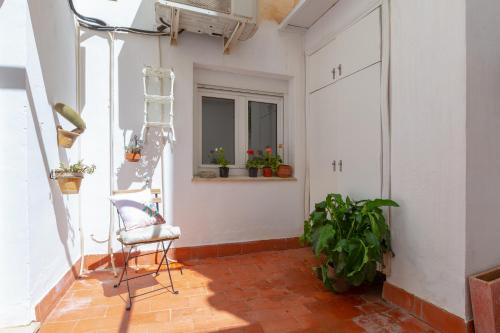 Central apartment with two bedrooms and a patio