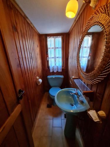 a bathroom with a toilet and a sink and a mirror at Hotel Angostura in Villa La Angostura