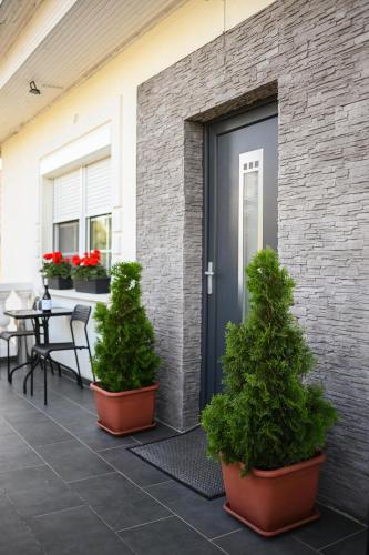 a front door of a house with potted plants at B-30 Vendégház in Tokaj