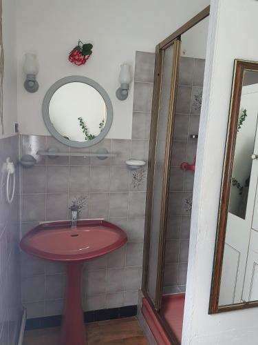 La salle de bains est pourvue d'un lavabo rouge et d'un miroir. dans l'établissement La Lisière Appartement 2 chambres, à Revin