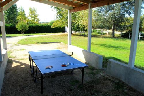 a blue table with two turtles on top of it at le mas des cerisiers le temple sur lot in Le Temple-sur-Lot