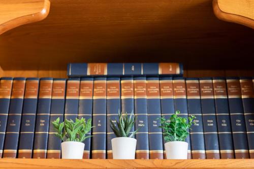 a row of books on a shelf with potted plants at Sabea - Baskey Rentals in Iraeta