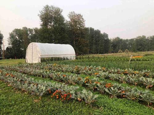 Foto dalla galleria di Bodhi Farms a Bozeman
