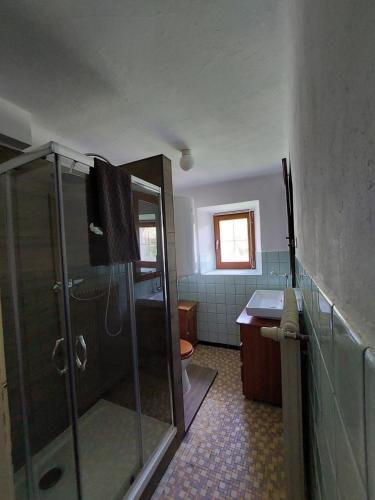 雷恩維格的住宿－Haus Zurrik，带淋浴和盥洗盆的浴室