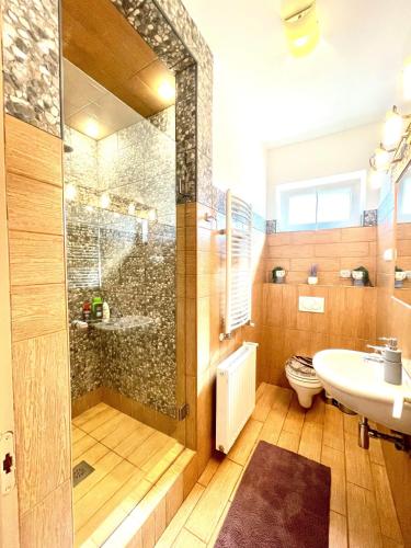 a bathroom with a shower and a toilet and a sink at Holiday home with Jakuzzi and Sauna in Kisoroszi