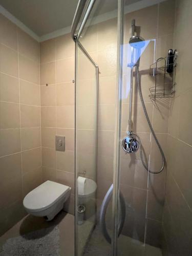 a bathroom with a shower with a toilet and a glass shower door at Schneider in Pāvilosta