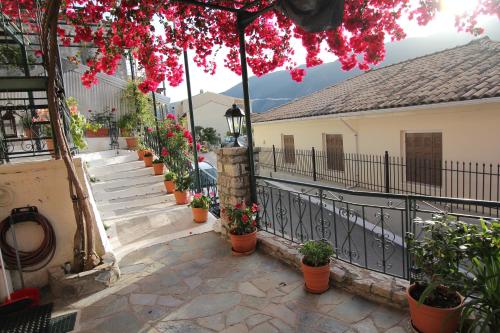 a group of potted plants on a balcony with stairs at Vasiliki Blue in Vasiliki
