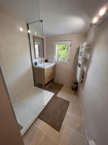 La salle de bains est pourvue d'une douche et d'un lavabo. dans l'établissement • Bel appartement - centre historique de Poitiers, à Poitiers
