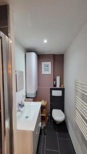 une salle de bain avec un lavabo blanc et des toilettes dans l'établissement Escapade à Lourdes dans beau T2 avec terrasse - Proche Gare et Centre ville, à Lourdes