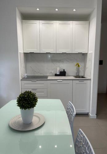a kitchen with white cabinets and a table with a potted plant at MARICAMPO Monolocale con piscina e parcheggio in Marina di Campo