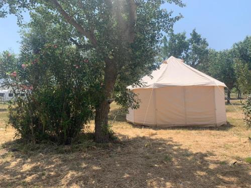 Φυσικό τοπίο κοντά σε οργανωμένο κάμπινγκ
