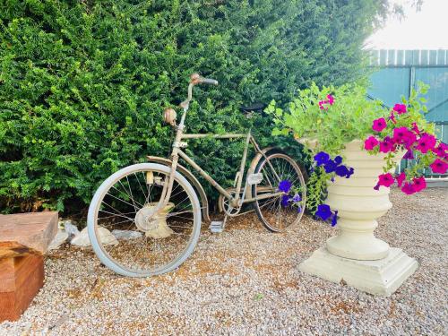 Una bicicleta estacionada junto a un arbusto con flores en Aux Berges du Libre, en Félines-Termenès