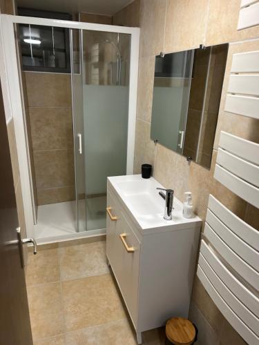 Kúpeľňa v ubytovaní Très joli Loft de 40 m2 idéalement situé