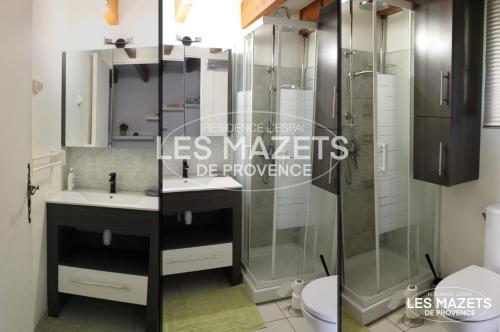 a bathroom with a shower and a sink and a toilet at Mazet l’Olivier in Saint-Martin-de-Brômes