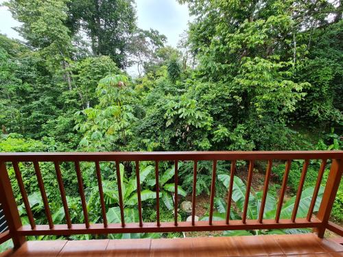 a wooden balcony with a view of a forest at Ceiba lodge in Drake