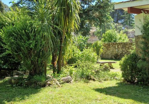 a garden with a palm tree and a stone wall at Villa Axarquía de Gredos in Arenas de San Pedro