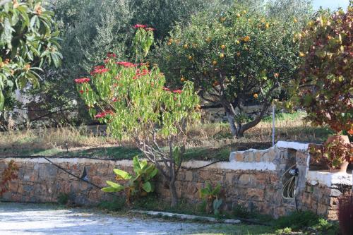 Zahrada ubytování Kassandra Garden Residence