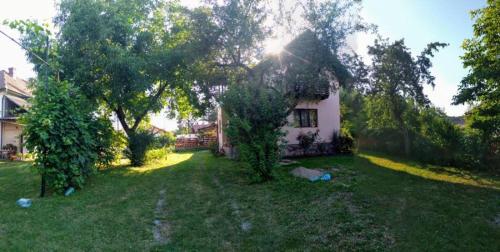 Foto dalla galleria di La mama Marta a Sovata