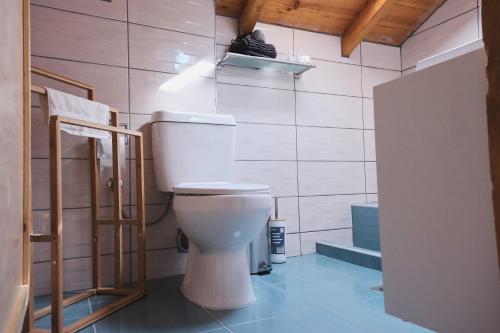 a bathroom with a white toilet in a room at Pegasus' Glory House in Kavala