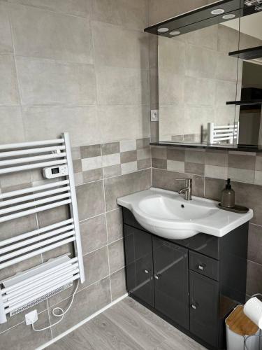 La salle de bains est pourvue d'un lavabo et d'un miroir. dans l'établissement Superbe appartement proche port Guillaume, à Dives-sur-Mer