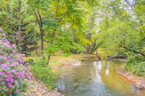 Dreams & Streams – Photos 5