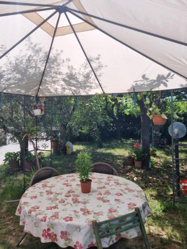 uma mesa com um guarda-chuva branco e um vaso de plantas em Appartamento Via Loreto em Pistoia