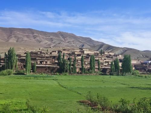 a village in a field with mountains in the background at Auberge restaurant Afoud in Agoudal