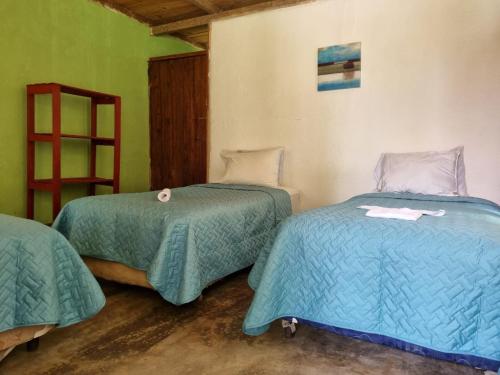 two beds in a room with green walls at Nawal in Lanquín