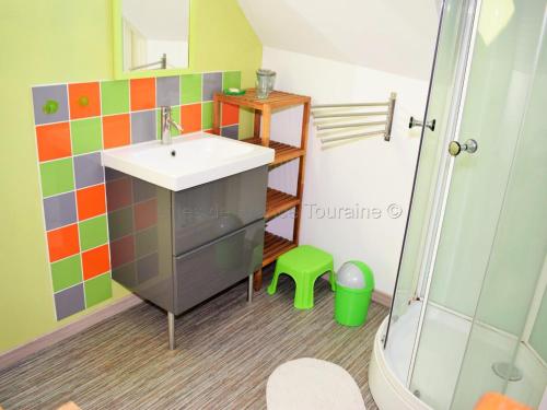 uma casa de banho com um lavatório e um chuveiro em Gîte Athée-sur-Cher, 2 pièces, 2 personnes - FR-1-381-371 em Athée-sur-Cher