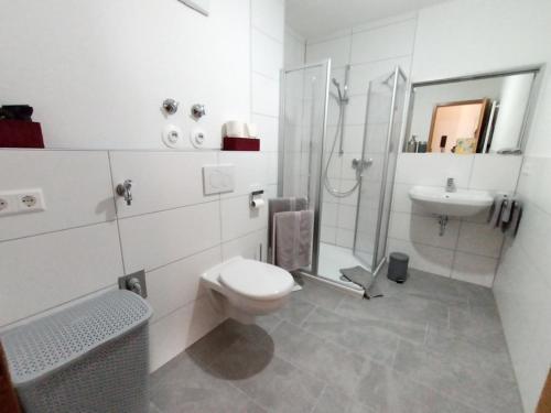a white bathroom with a toilet and a sink at BodenSEE Apartment Überlingen Strandweg in Überlingen