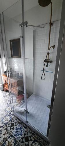 a shower with a glass door in a bathroom at Panorama Lodge Hohegeiß Sport und Erholung im Harz in Braunlage