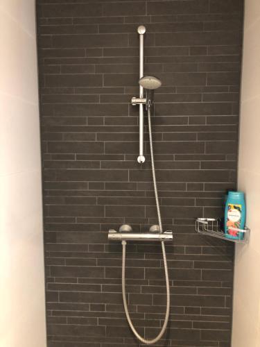 a shower in a bathroom with a black brick wall at Lemferdinge, Paterswolde in Paterswolde