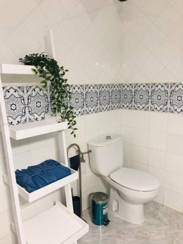 a bathroom with a toilet and a shelf with a plant at Luna de Lobos in Corralejo