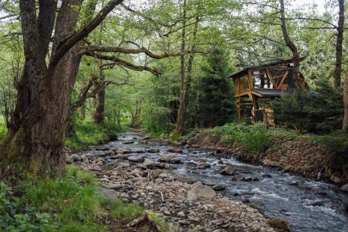 a tree house in the woods next to a river at Cabana La Cuib Sovata in Sovata